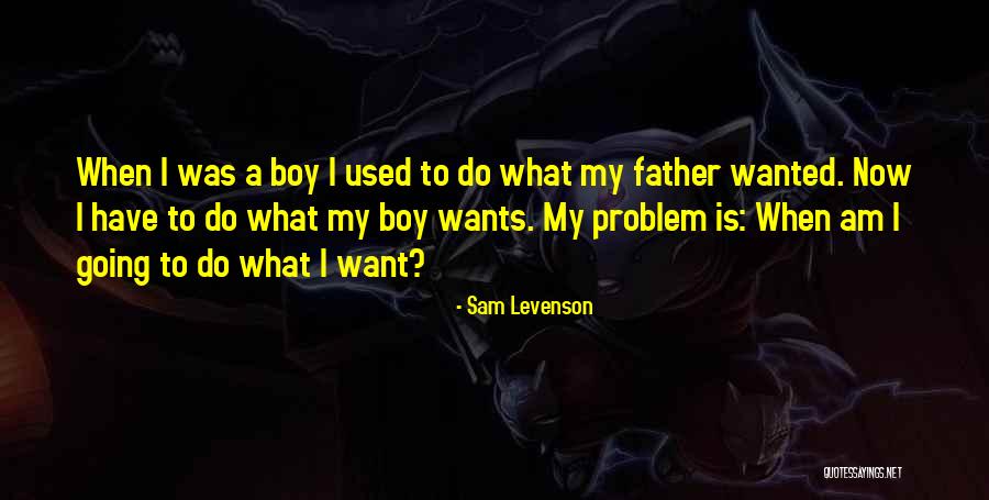 What I Am Now Quotes By Sam Levenson