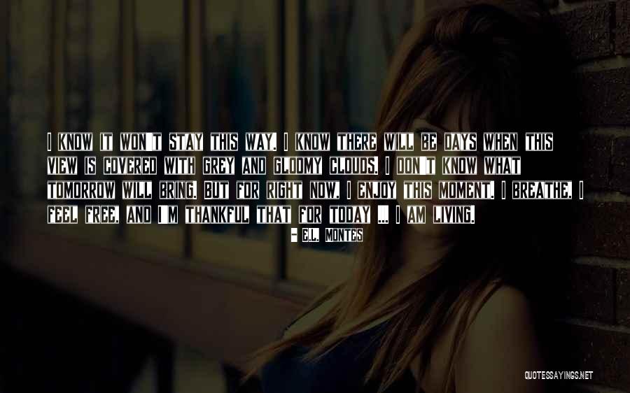 What I Am Thankful For Quotes By E.L. Montes What I Am Thankful For Quotes By E.L. Montes