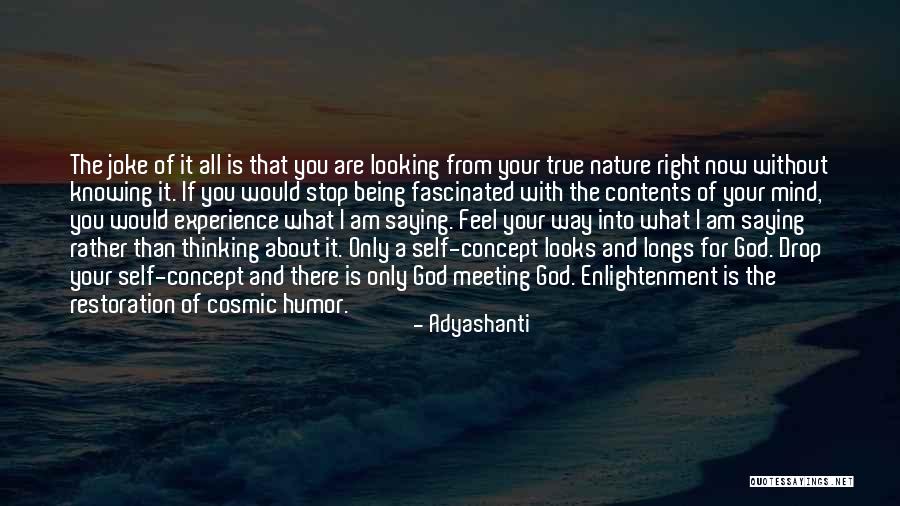 What I Feel Right Now Quotes By Adyashanti What I Feel Right Now Quotes By Adyashanti