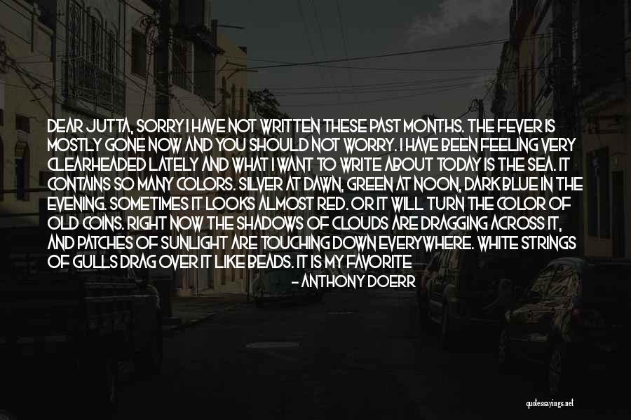 What I Feel Right Now Quotes By Anthony Doerr What I Feel Right Now Quotes By Anthony Doerr