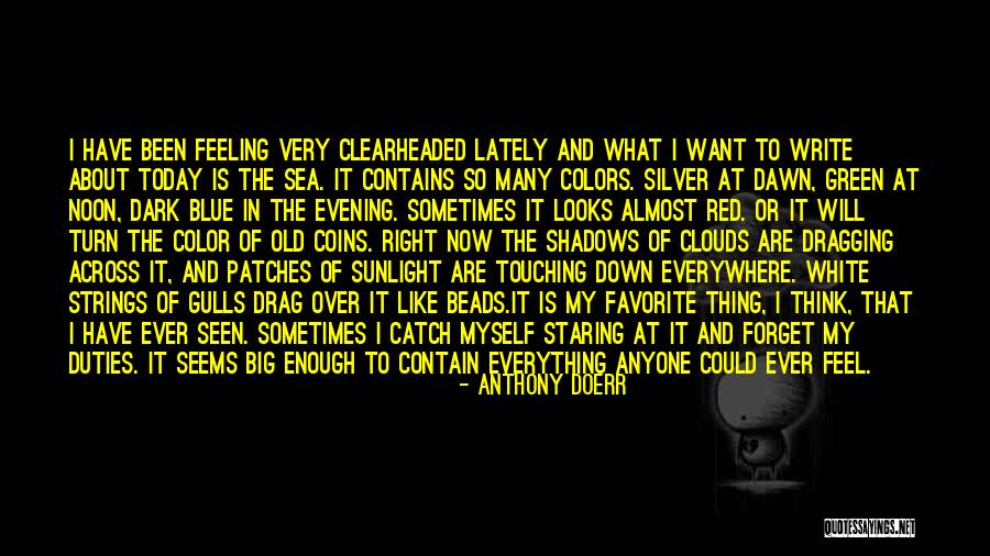 What I Feel Right Now Quotes By Anthony Doerr What I Feel Right Now Quotes By Anthony Doerr