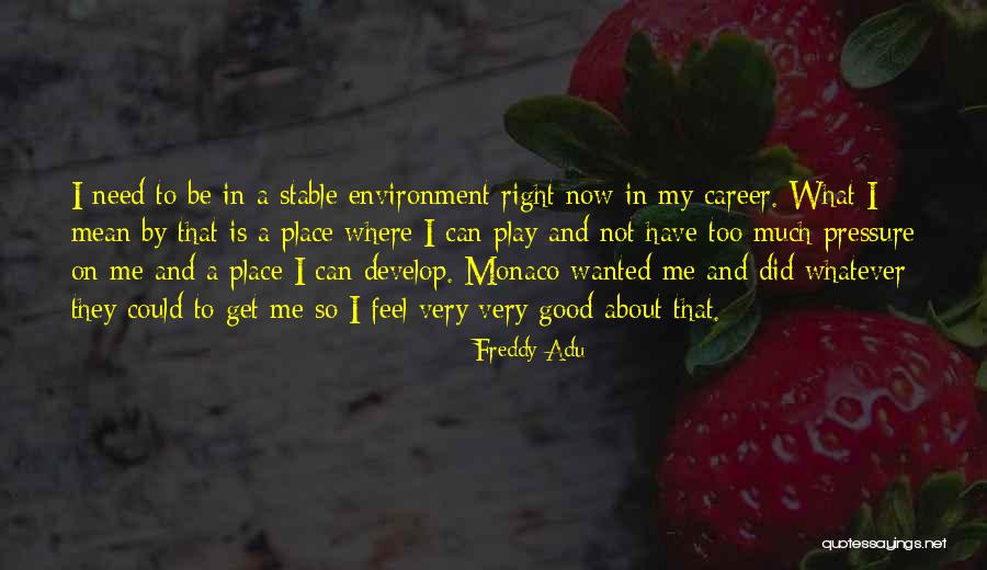What I Feel Right Now Quotes By Freddy Adu What I Feel Right Now Quotes By Freddy Adu