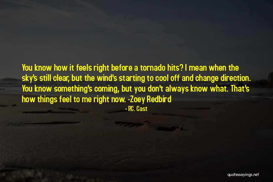 What I Feel Right Now Quotes By P.C. Cast