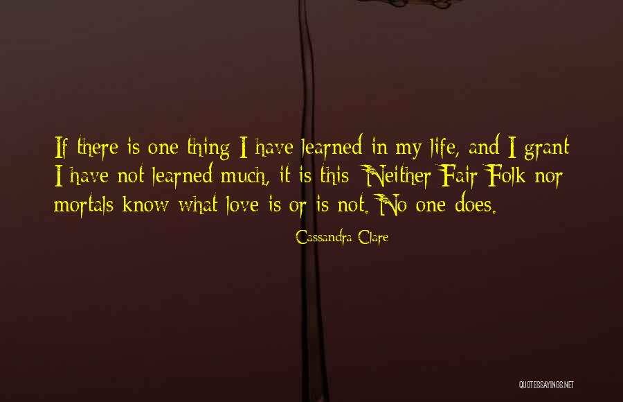 What I Have Learned In Life Quotes By Cassandra Clare What I Have Learned In Life Quotes By Cassandra Clare