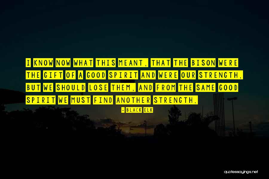 What I Know Now Quotes By Black Elk What I Know Now Quotes By Black Elk