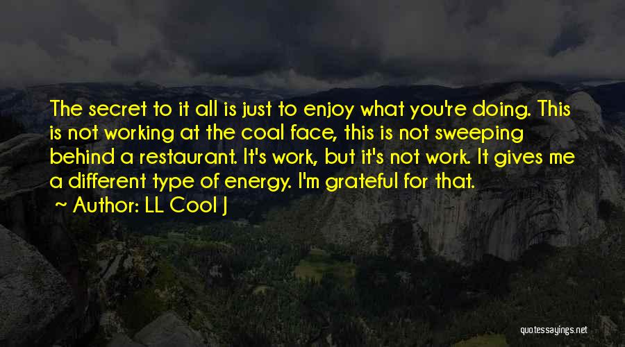 What I ' M Grateful For Quotes By LL Cool J