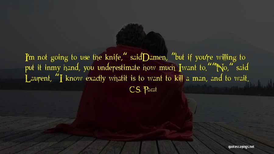 What I Want In A Man Quotes By C.S. Pacat What I Want In A Man Quotes By C.S. Pacat