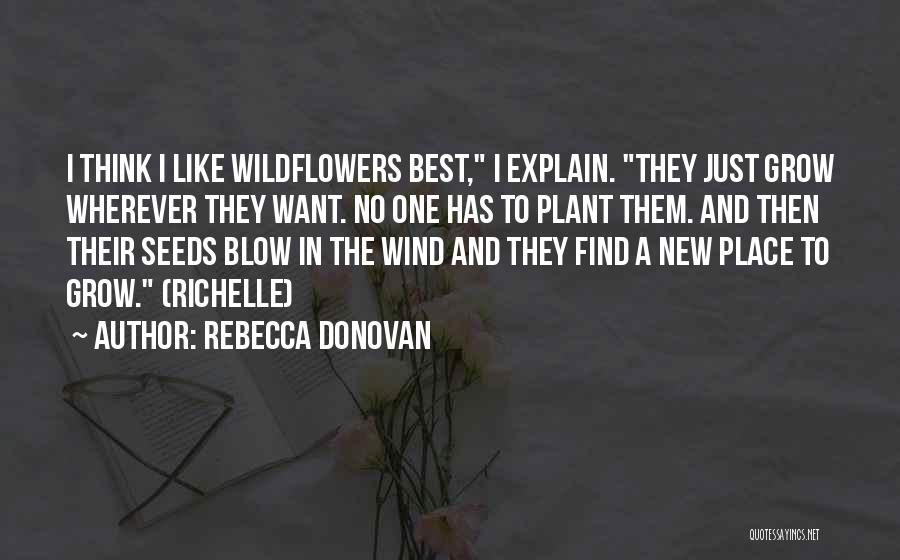 What If Rebecca Donovan Quotes By Rebecca Donovan