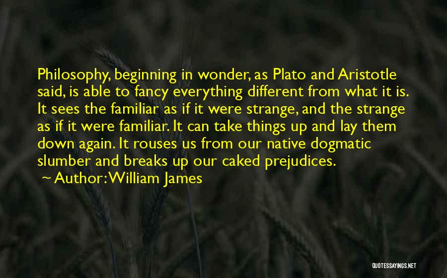 What If Things Were Different Quotes By William James