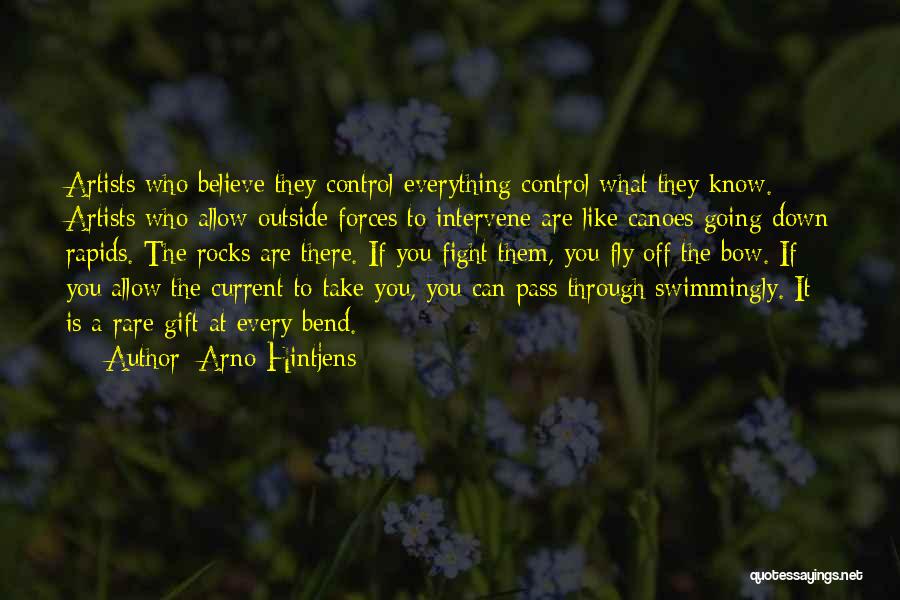 What If You Fly Quotes By Arno Hintjens