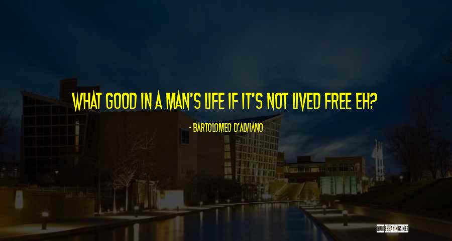 What Ifs In Life Quotes By Bartolomeo D'Alviano