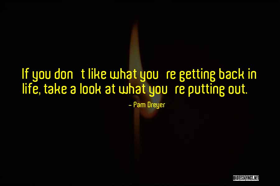 What Ifs In Life Quotes By Pam Dreyer What Ifs In Life Quotes By Pam Dreyer