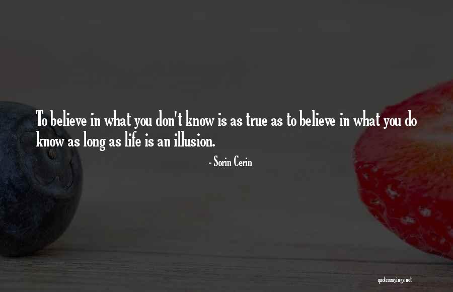 What Is An Quote Quotes By Sorin Cerin What Is An Quote Quotes By Sorin Cerin