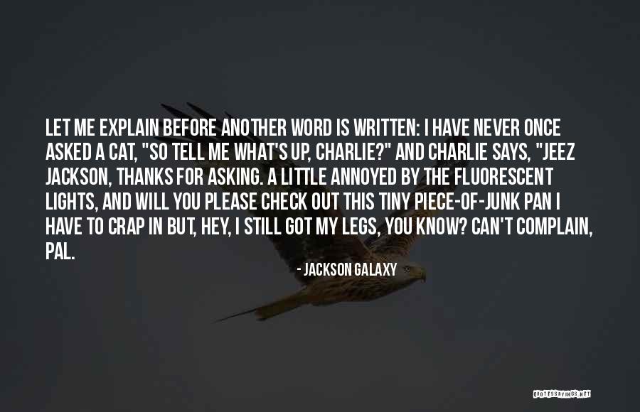 What Is Another Word For Quotes By Jackson Galaxy