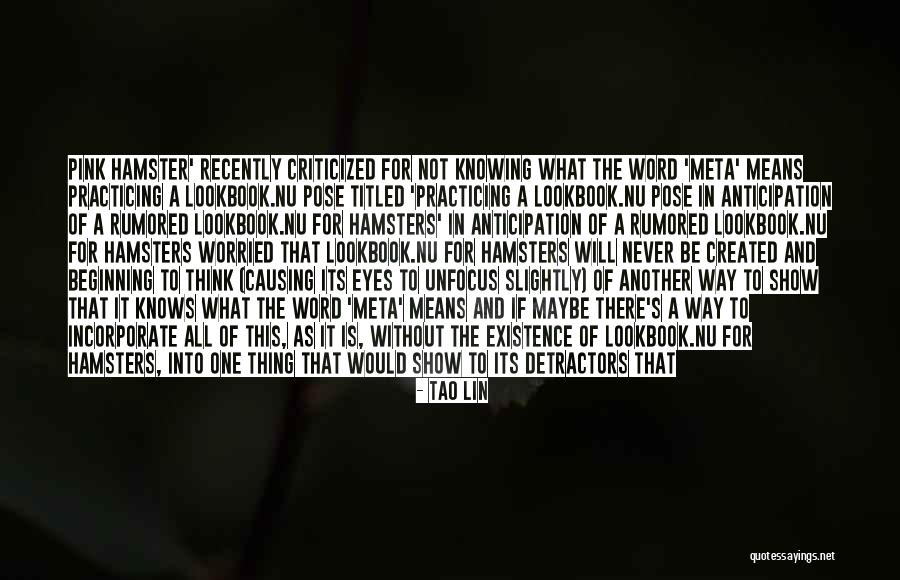 What Is Another Word For Quotes By Tao Lin