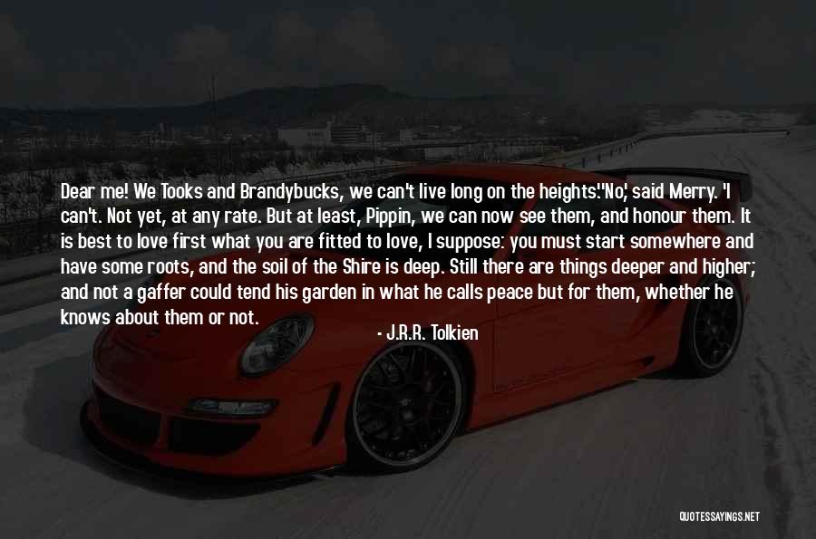 What Is Best For You Quotes By J.R.R. Tolkien
