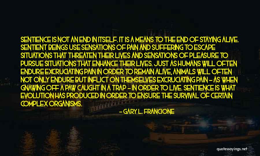 What Is Consciousness Quotes By Gary L. Francione What Is Consciousness Quotes By Gary L. Francione