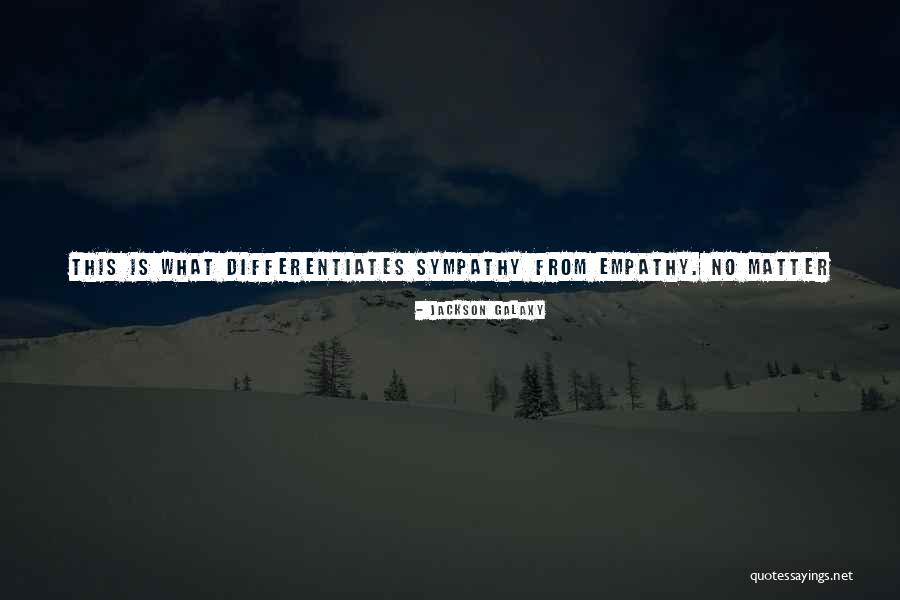What Is Empathy Quotes By Jackson Galaxy What Is Empathy Quotes By Jackson Galaxy