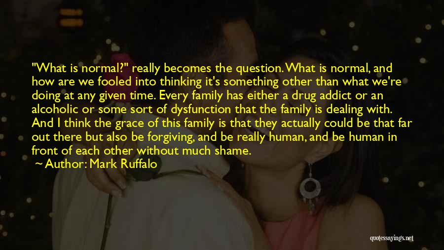 What Is Family Quotes By Mark Ruffalo