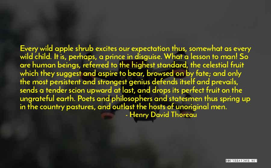 What Is Fate Quotes By Henry David Thoreau What Is Fate Quotes By Henry David Thoreau