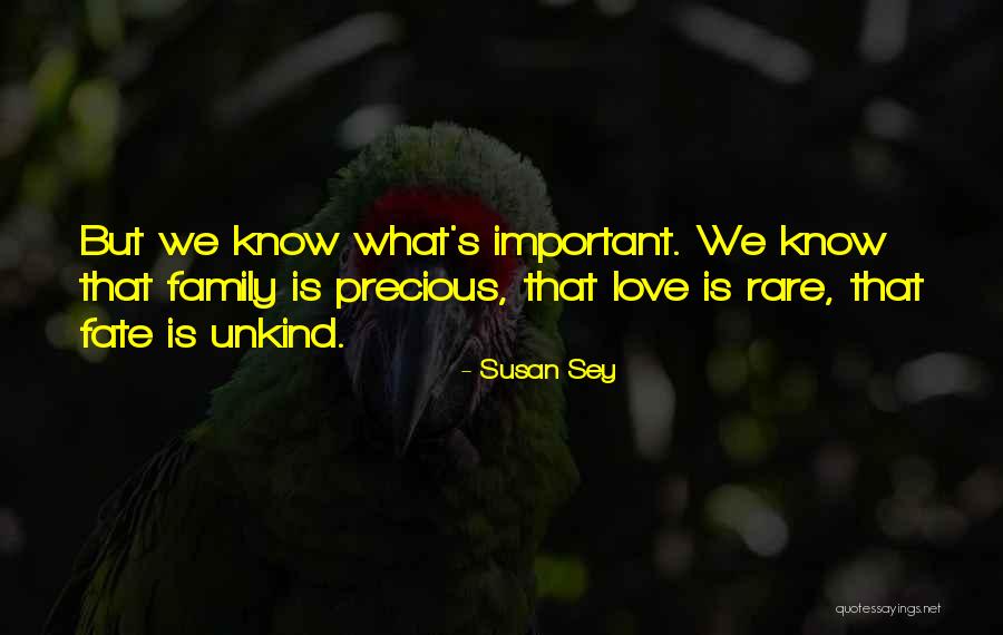 What Is Fate Quotes By Susan Sey What Is Fate Quotes By Susan Sey