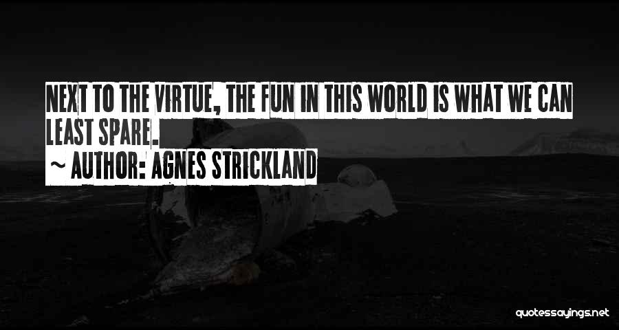 What Is Fun Quotes By Agnes Strickland