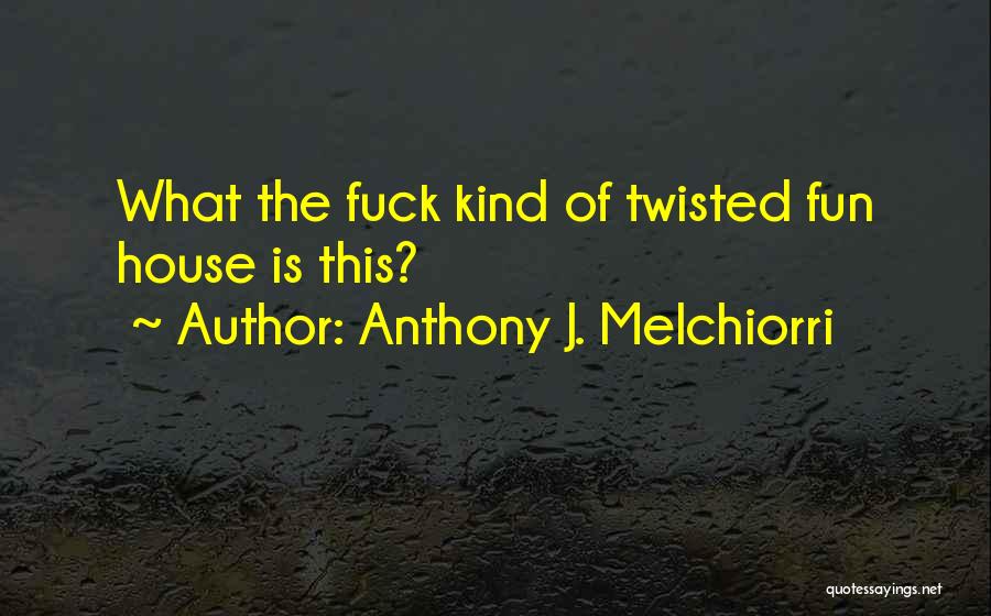 What Is Fun Quotes By Anthony J. Melchiorri