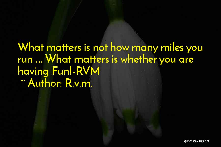 What Is Fun Quotes By R.v.m.