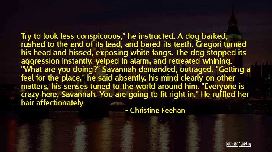 What Is Going On Quotes By Christine Feehan