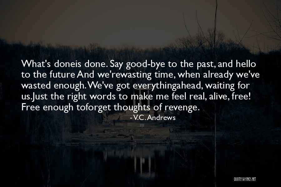 What Is Good Enough Quotes By V.C. Andrews