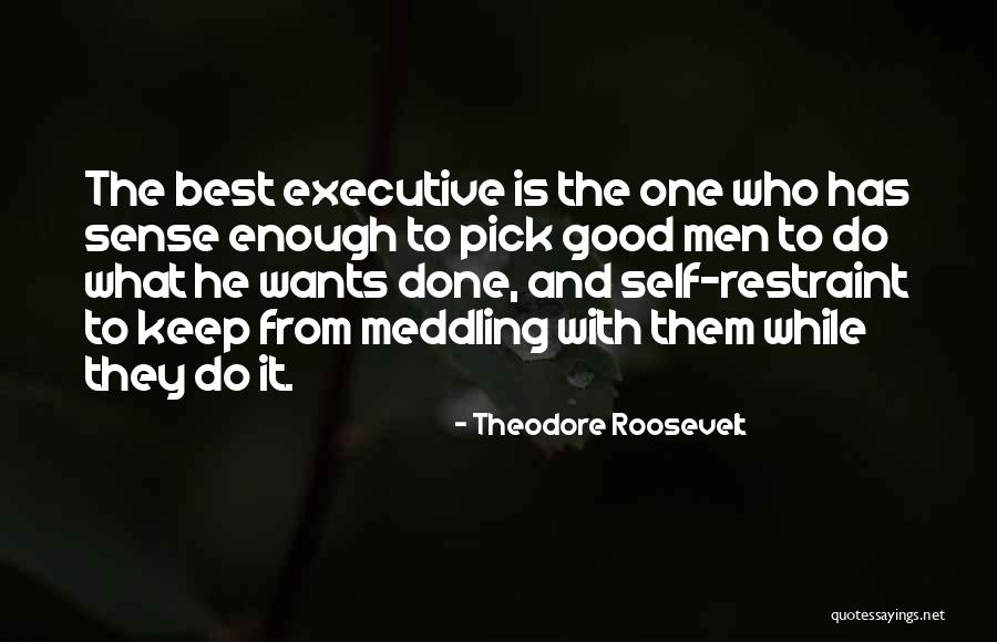 What Is Good Leadership Quotes By Theodore Roosevelt