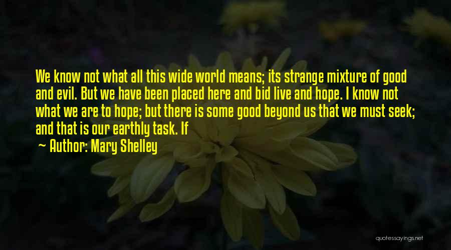 What Is Good Quotes By Mary Shelley