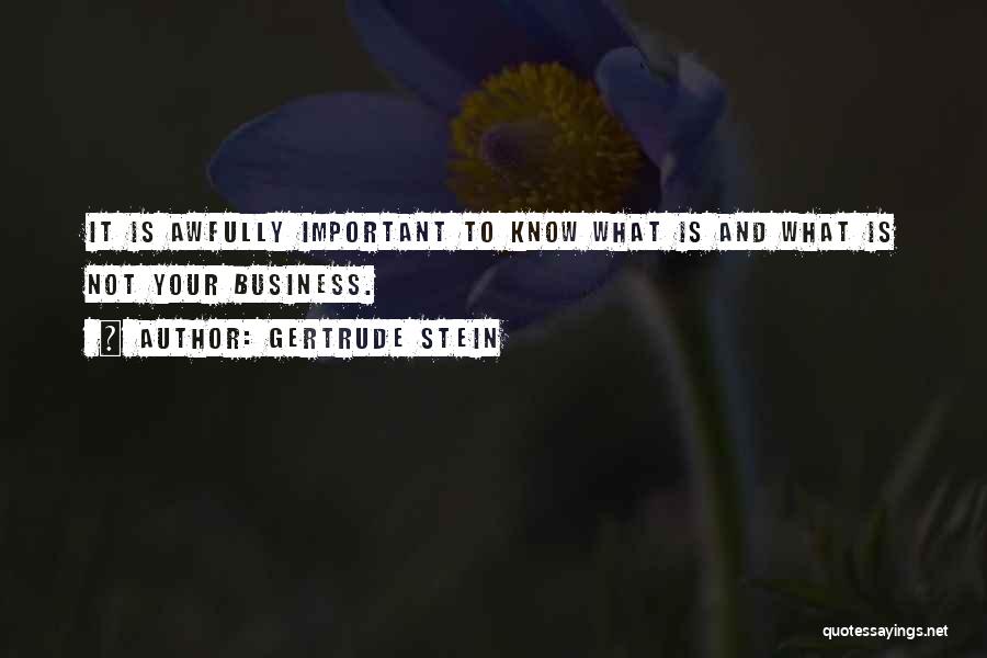 What Is Important Quotes By Gertrude Stein