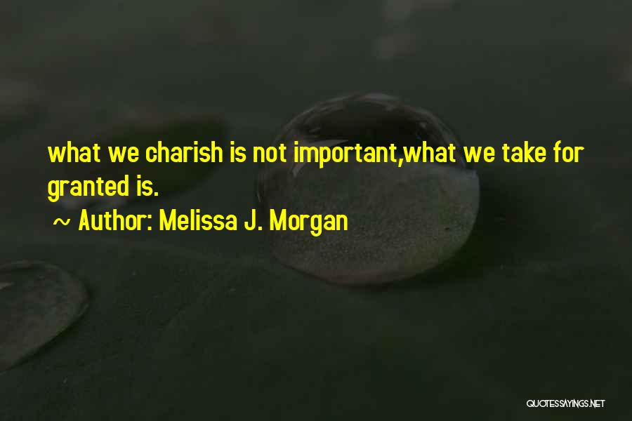 What Is Important Quotes By Melissa J. Morgan