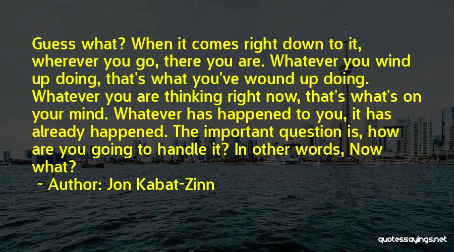 What Is Important To You Quotes By Jon Kabat-Zinn