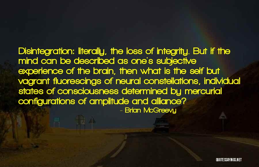 What Is Integrity Quotes By Brian McGreevy What Is Integrity Quotes By Brian McGreevy