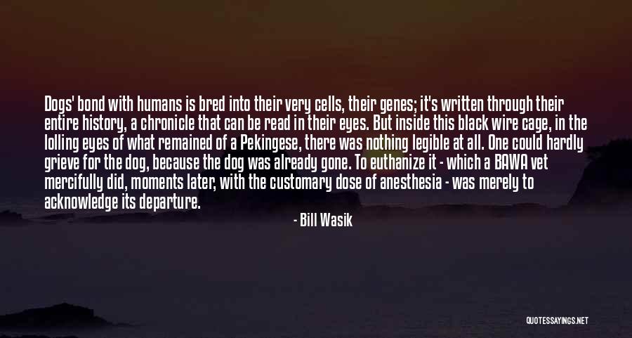 What Is It All For Quotes By Bill Wasik