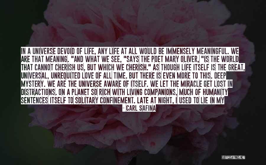What Is Love Deep Quotes By Carl Safina What Is Love Deep Quotes By Carl Safina