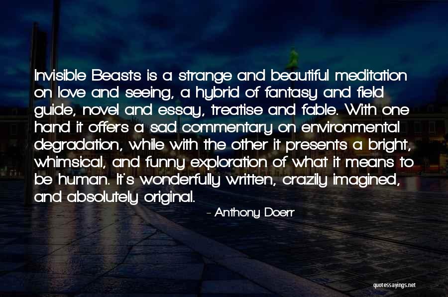 What Is Love Sad Quotes By Anthony Doerr What Is Love Sad Quotes By Anthony Doerr