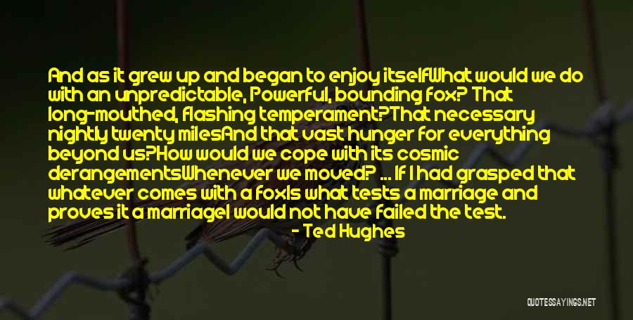 What Is Marriage Quotes By Ted Hughes What Is Marriage Quotes By Ted Hughes
