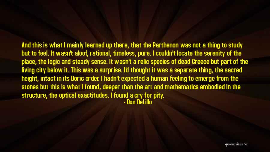 What Is Mathematics Quotes By Don DeLillo What Is Mathematics Quotes By Don DeLillo