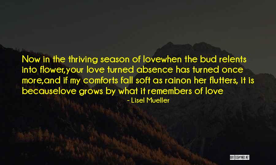 What Is Motherhood Quotes By Lisel Mueller