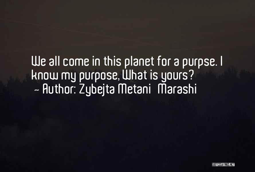 What Is My Purpose In Life Quotes By Zybejta Metani'Marashi