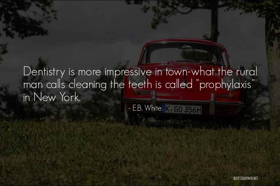 What Is New Quotes By E.B. White What Is New Quotes By E.B. White