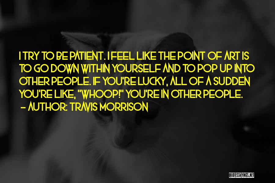 What Is Pop Art Quotes By Travis Morrison