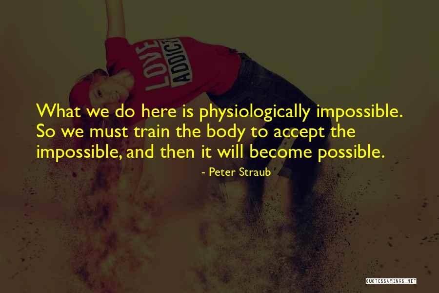 What Is Possible And The Impossible Quotes By Peter Straub What Is Possible And The Impossible Quotes By Peter Straub