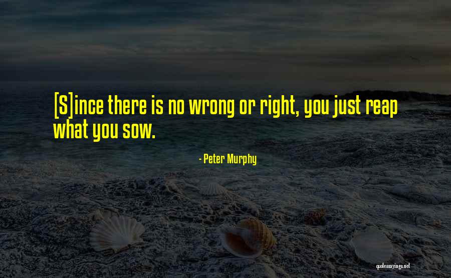 What Is Right Or Wrong Quotes By Peter Murphy What Is Right Or Wrong Quotes By Peter Murphy