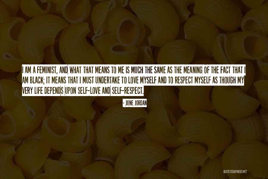 What Is Self Respect Quotes By June Jordan What Is Self Respect Quotes By June Jordan