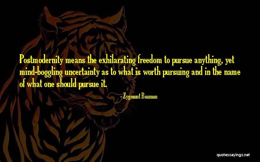 What Is Sociology Quotes By Zygmunt Bauman