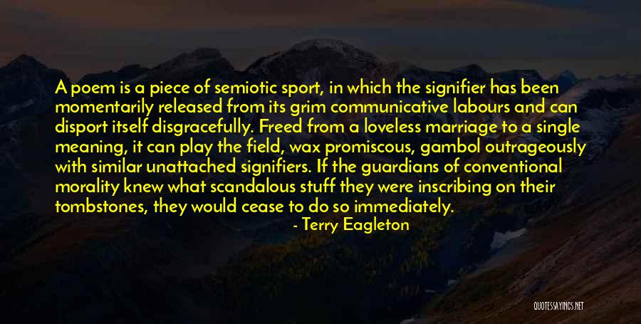 What Is Sport Quotes By Terry Eagleton What Is Sport Quotes By Terry Eagleton